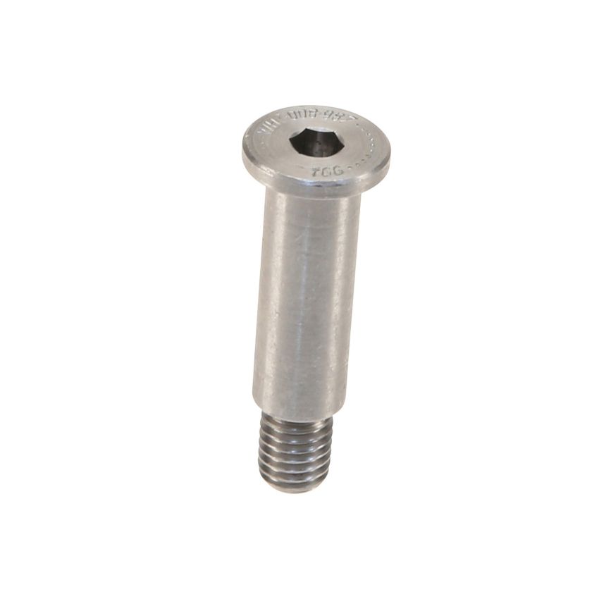 Genuine OEM Timing Chain Rail Pivot Pin WHT008987