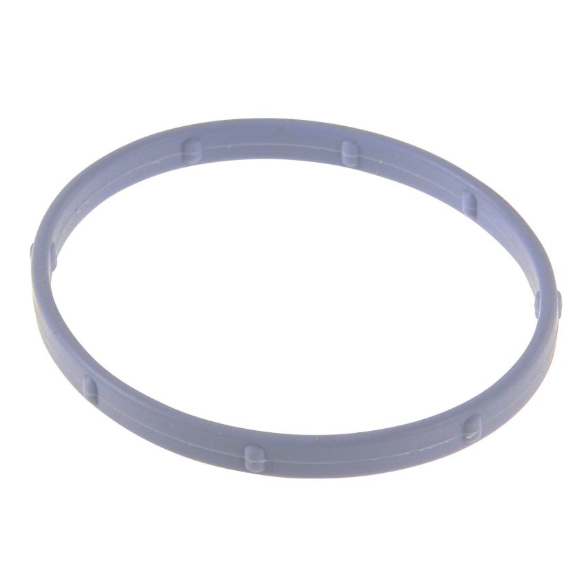 Genuine OEM Intake Manifold Gasket YL2Z9461AA