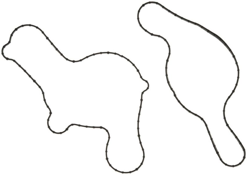 MAHLE K32199 Engine Water Pump Gasket