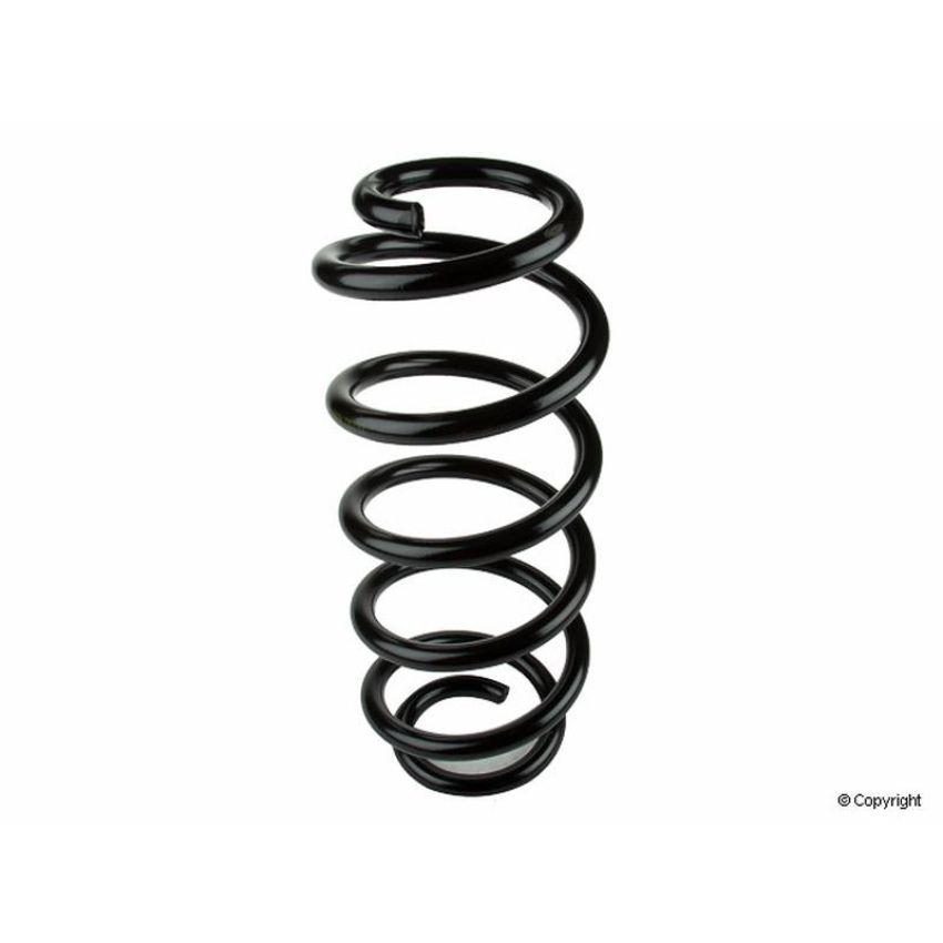 LESJOFORS 4004255 One Front Coil Spring