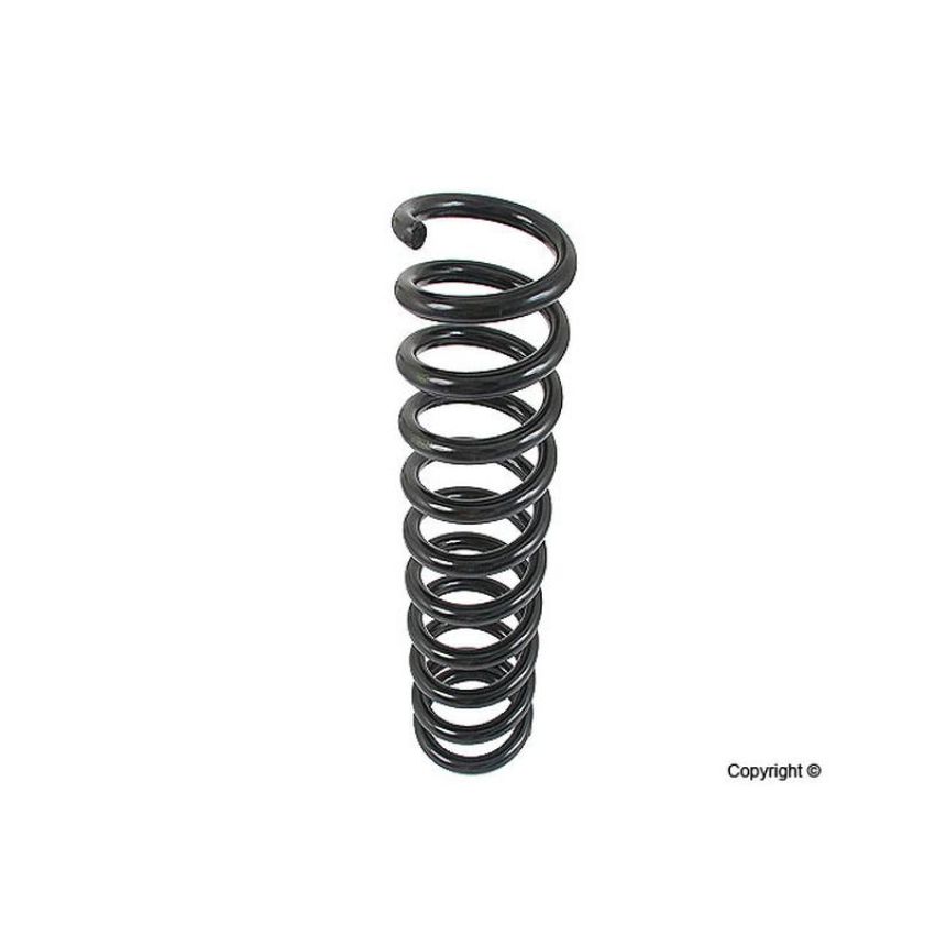 LESJOFORS 4056838 One Front Coil Spring
