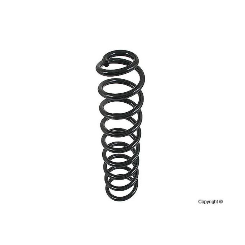 LESJOFORS 4056841 One Front Coil Spring