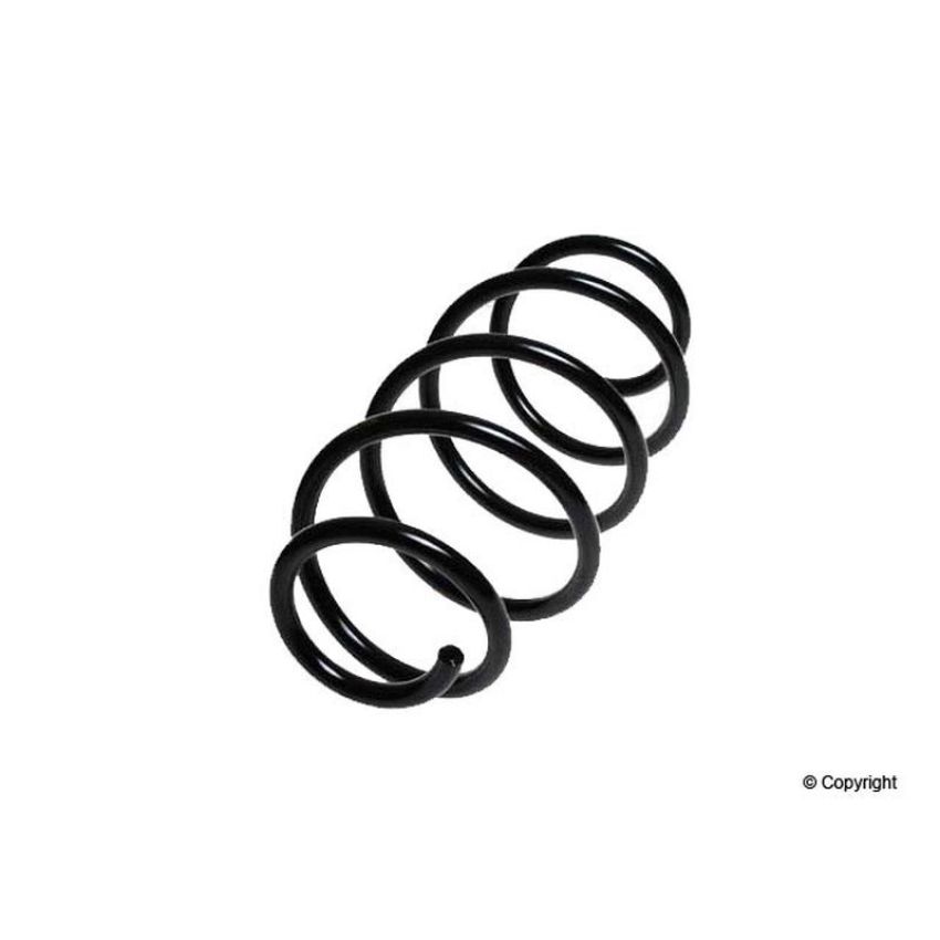 LESJOFORS 4077816 One Front Coil Spring