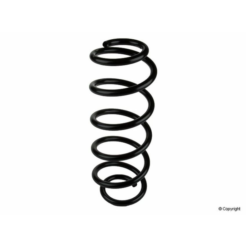 LESJOFORS 4095037 One Front Coil Spring