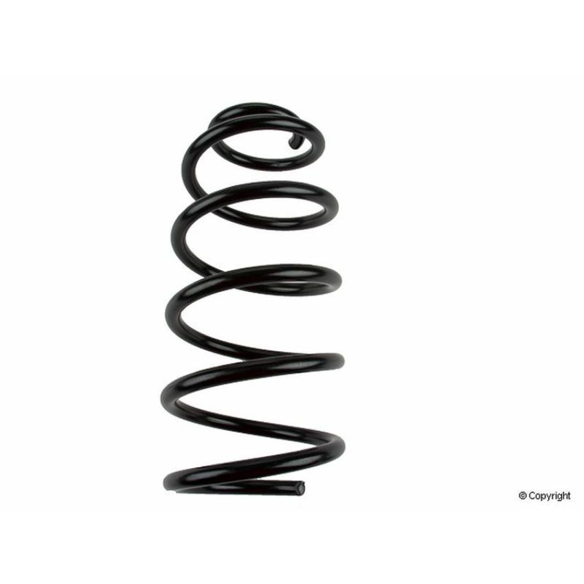 LESJOFORS 4095045 One Front Coil Spring