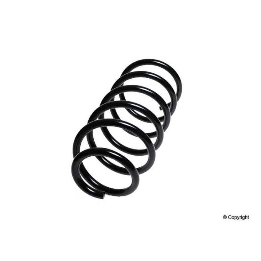 LESJOFORS 4095840 One Front Coil Spring