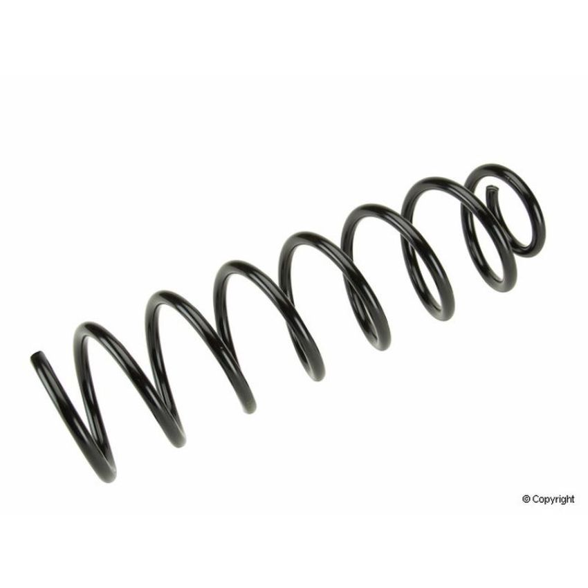 LESJOFORS 4204211 One Rear Coil Spring