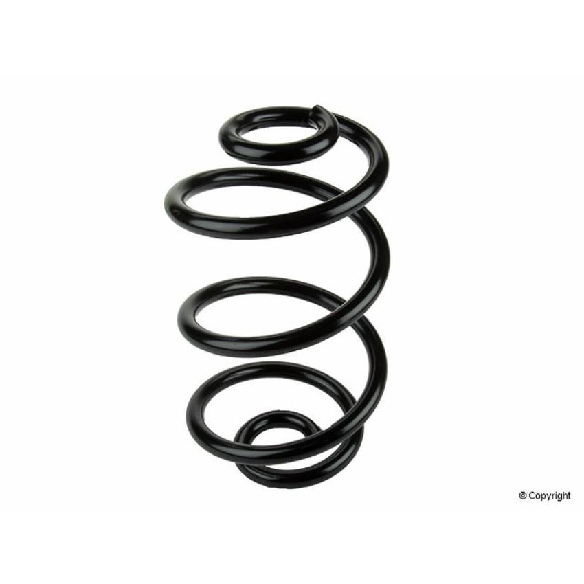 LESJOFORS 4204225 One Rear Coil Spring