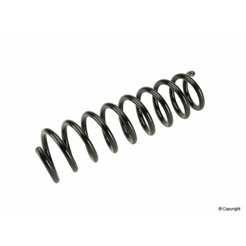 LESJOFORS 4204231 One Rear Coil Spring