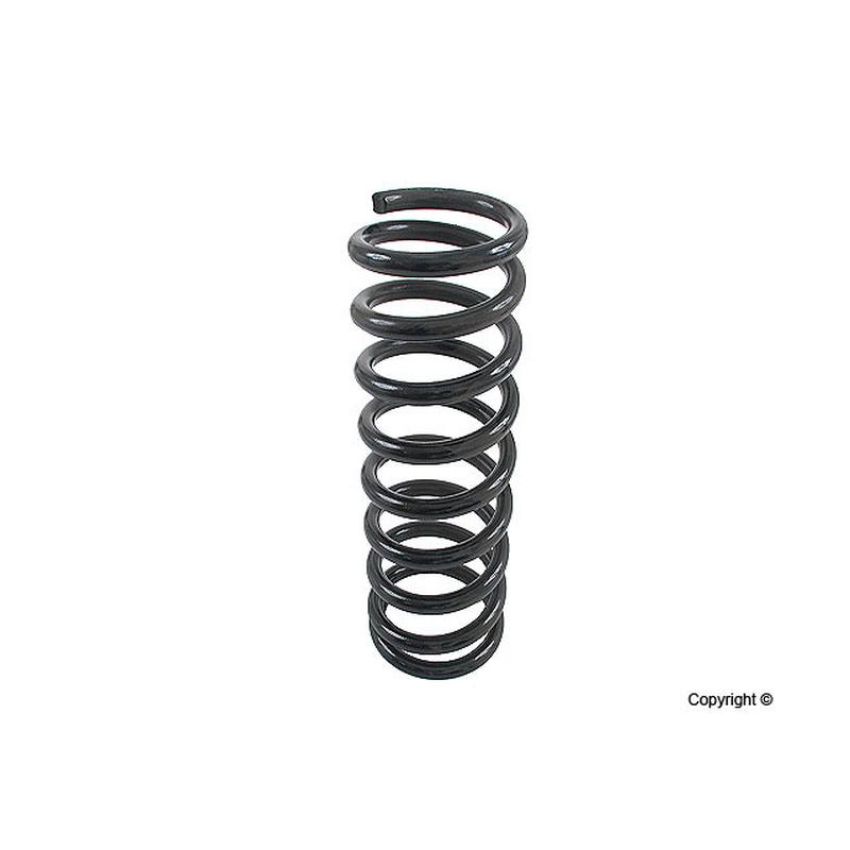 LESJOFORS 4256801 One Rear Coil Spring