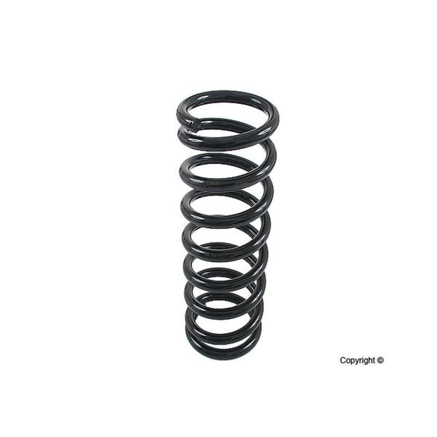 LESJOFORS 4256802 One Rear Coil Spring