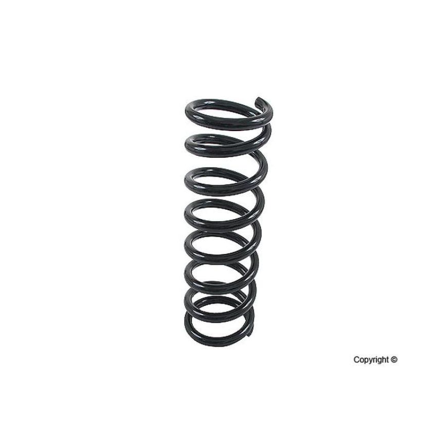 LESJOFORS 4256804 One Rear Coil Spring