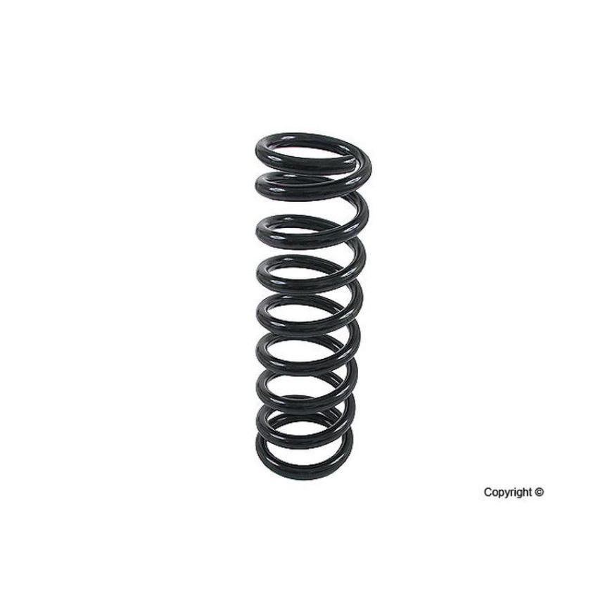 LESJOFORS 4256806 One Rear Coil Spring