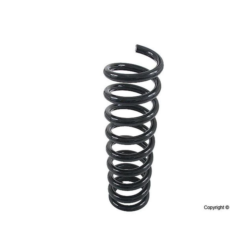 LESJOFORS 4256810 One Rear Coil Spring