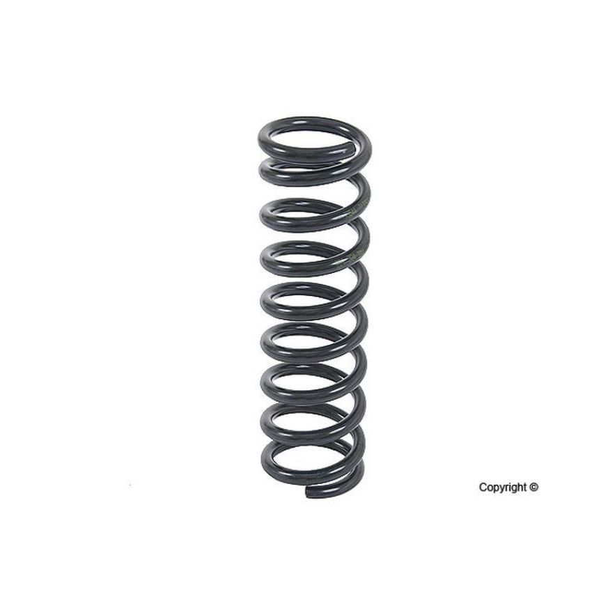 LESJOFORS 4256819 One Rear Coil Spring