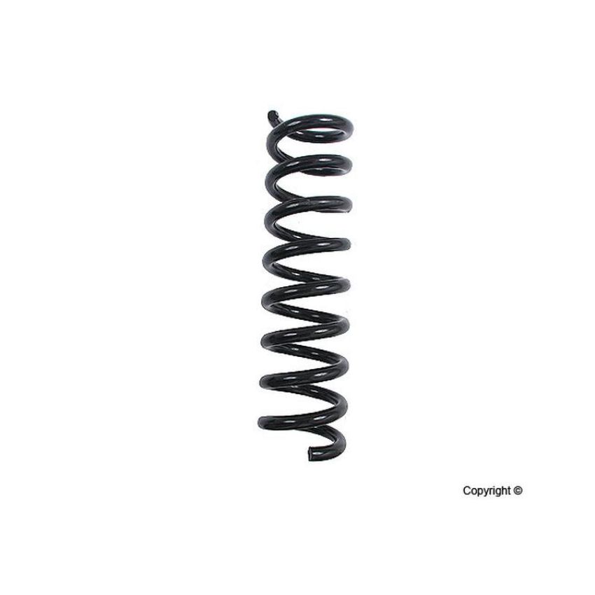 LESJOFORS 4256820 One Rear Coil Spring