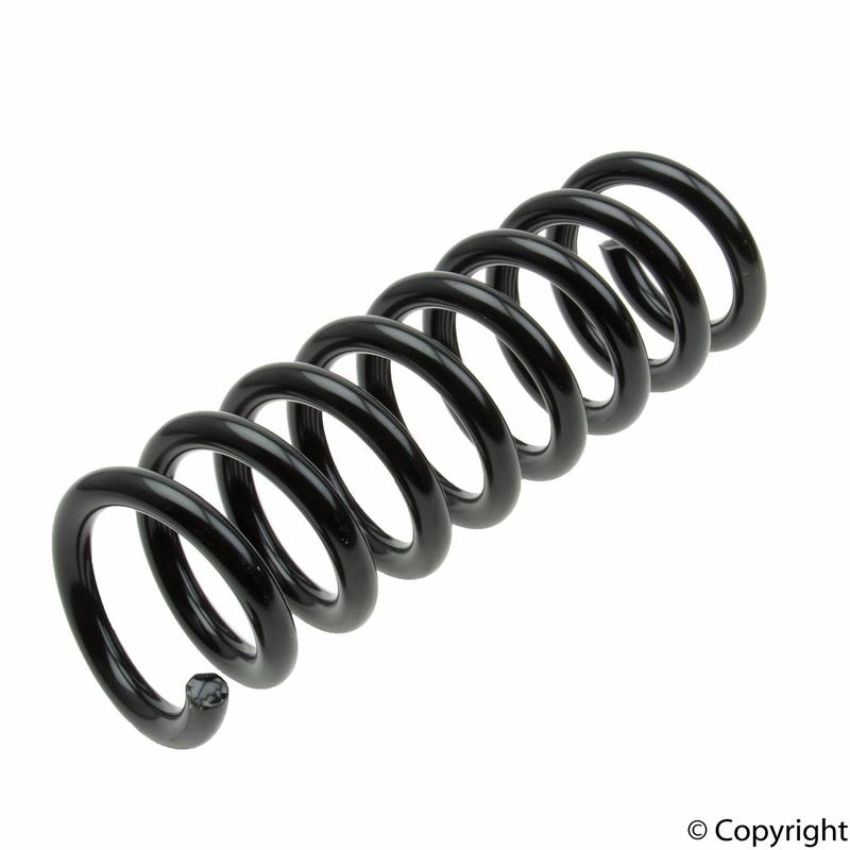 LESJOFORS 4256832 One Rear Coil Spring