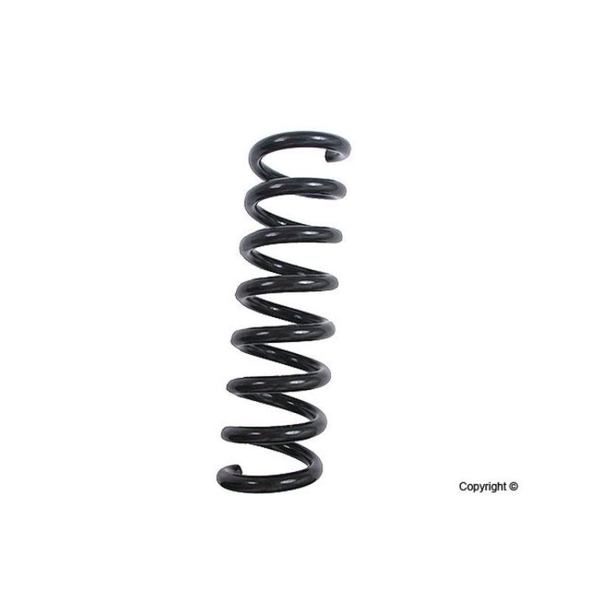 LESJOFORS 4256833 One Rear Coil Spring