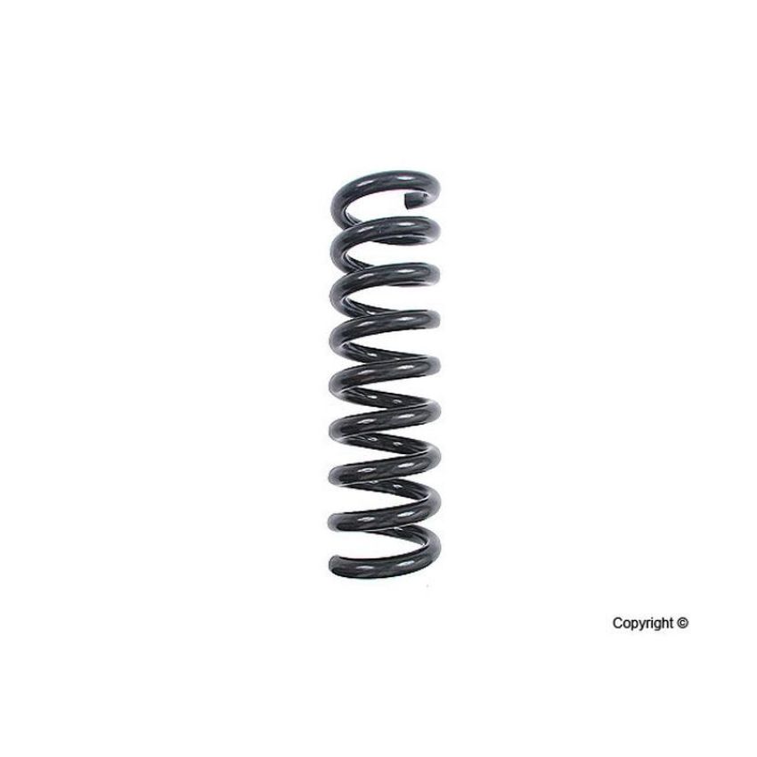 LESJOFORS 4256844 One Rear Coil Spring