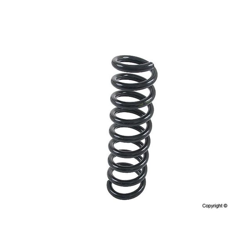 LESJOFORS 4256848 One Rear Coil Spring