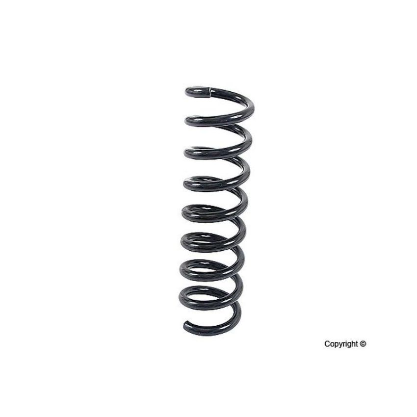 LESJOFORS 4256849 One Rear Coil Spring