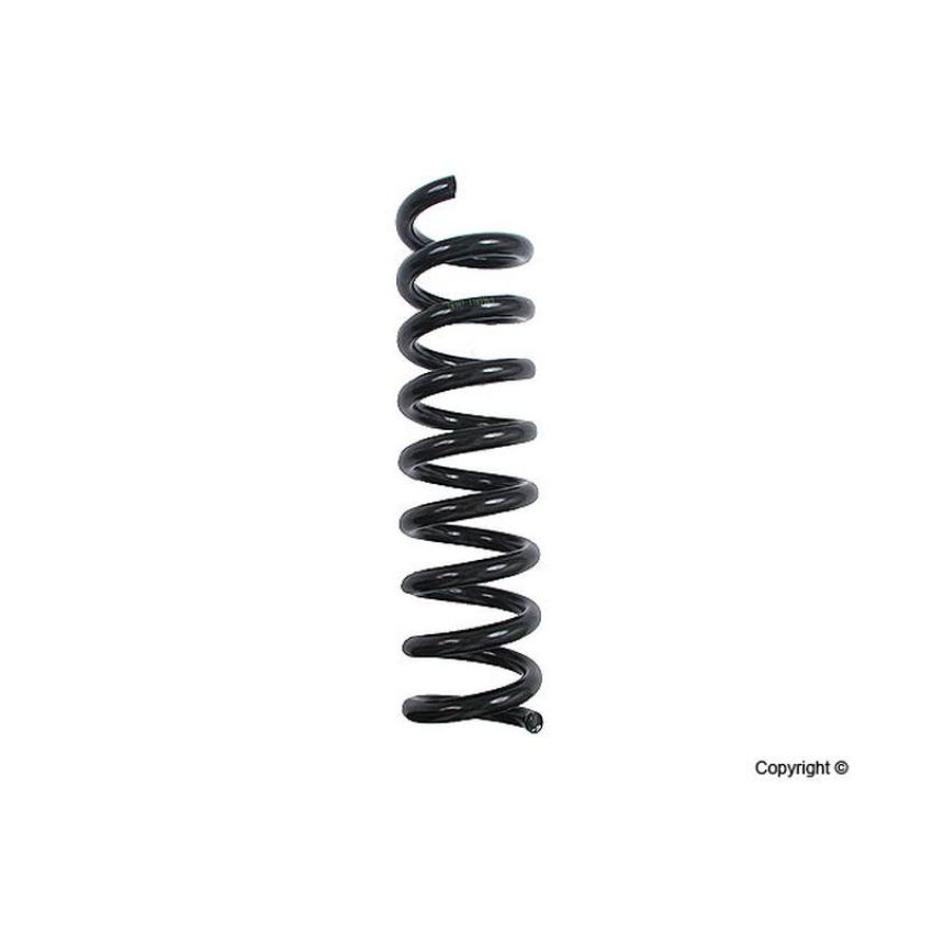 LESJOFORS 4256850 One Rear Coil Spring