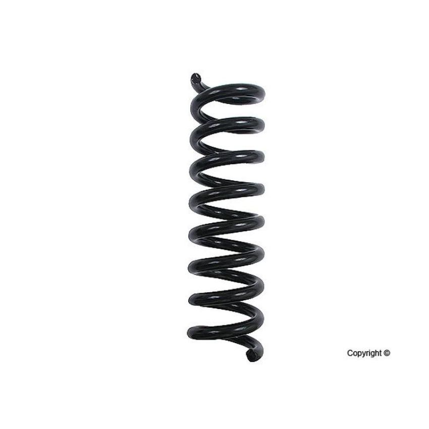 LESJOFORS 4256851 One Rear Coil Spring