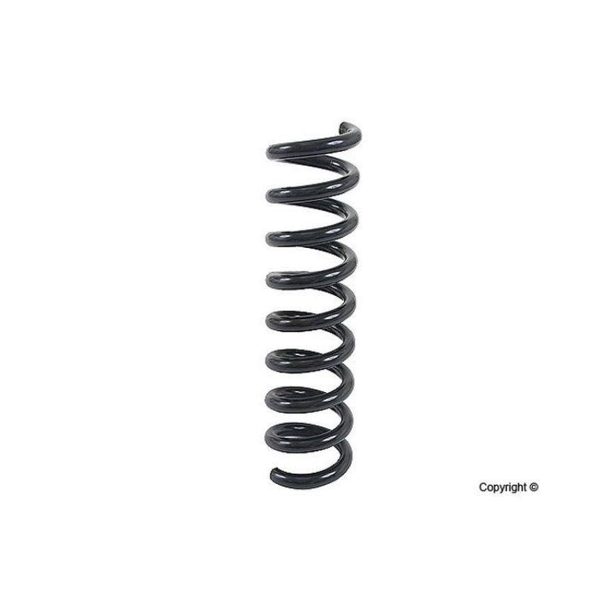 LESJOFORS 4256855 One Rear Coil Spring