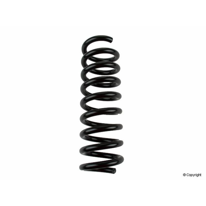 LESJOFORS 4256865 One Rear Coil Spring