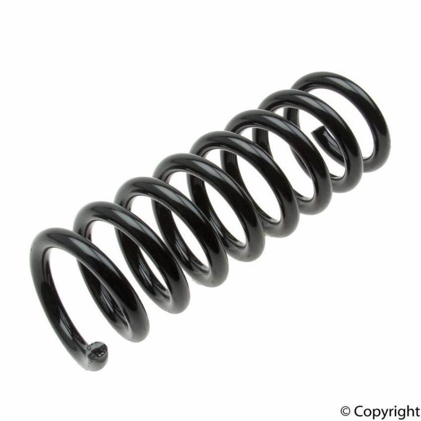 LESJOFORS 4256871 One Rear Coil Spring