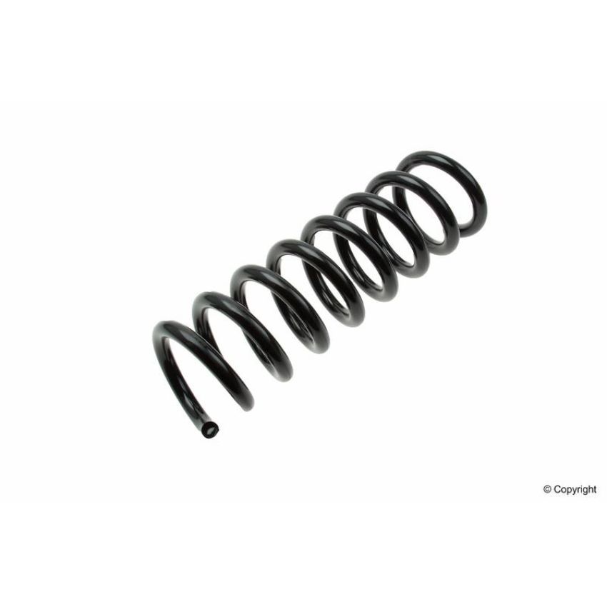 LESJOFORS 4256876 One Rear Coil Spring