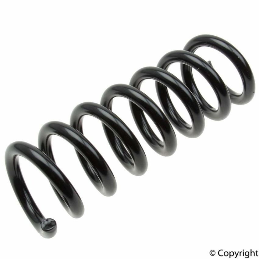 LESJOFORS 4256878 One Rear Coil Spring
