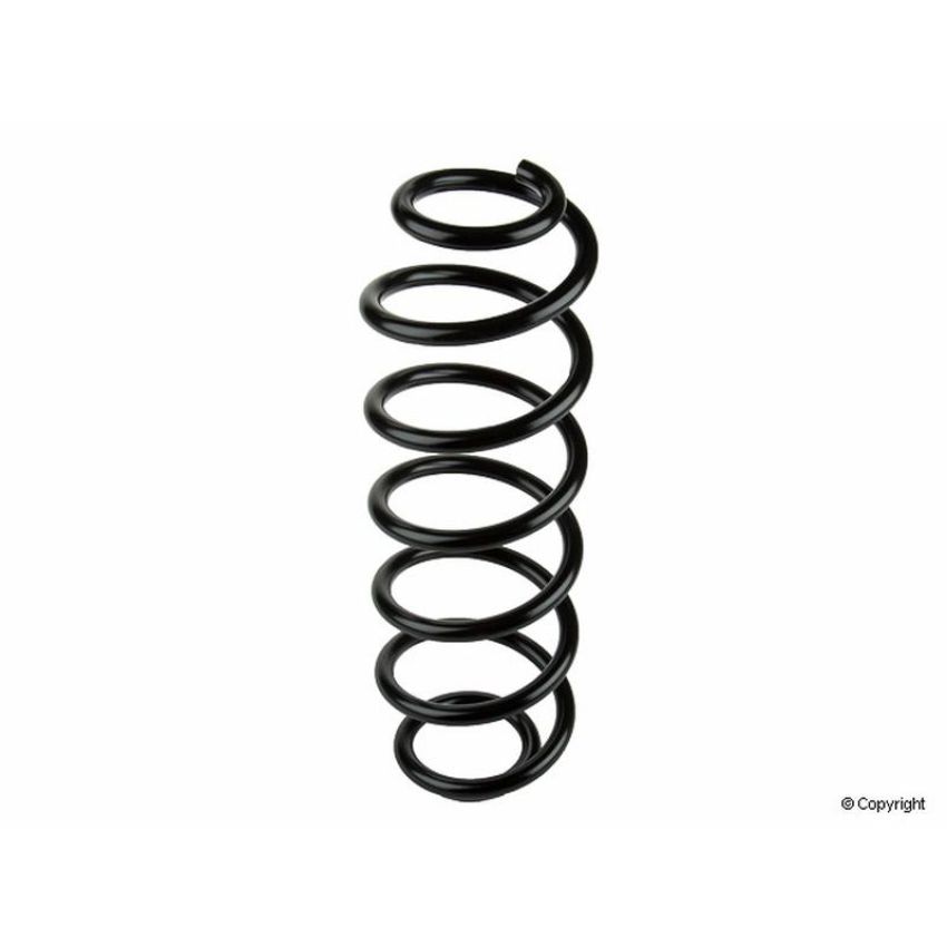 LESJOFORS 4295034 One Rear Coil Spring