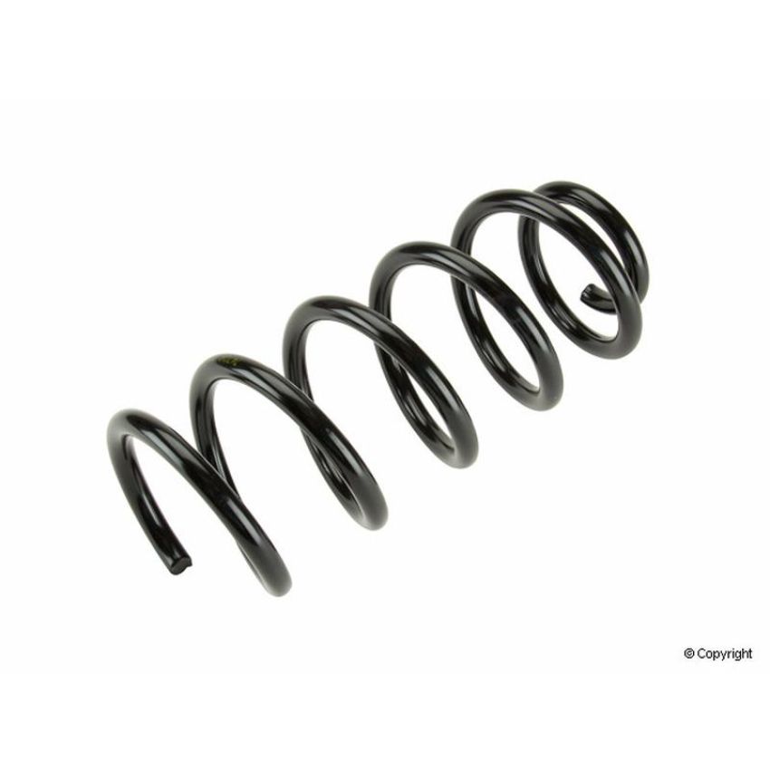 LESJOFORS 4295048 One Rear Coil Spring