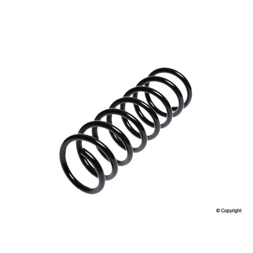 LESJOFORS 4295838 One Rear Coil Spring