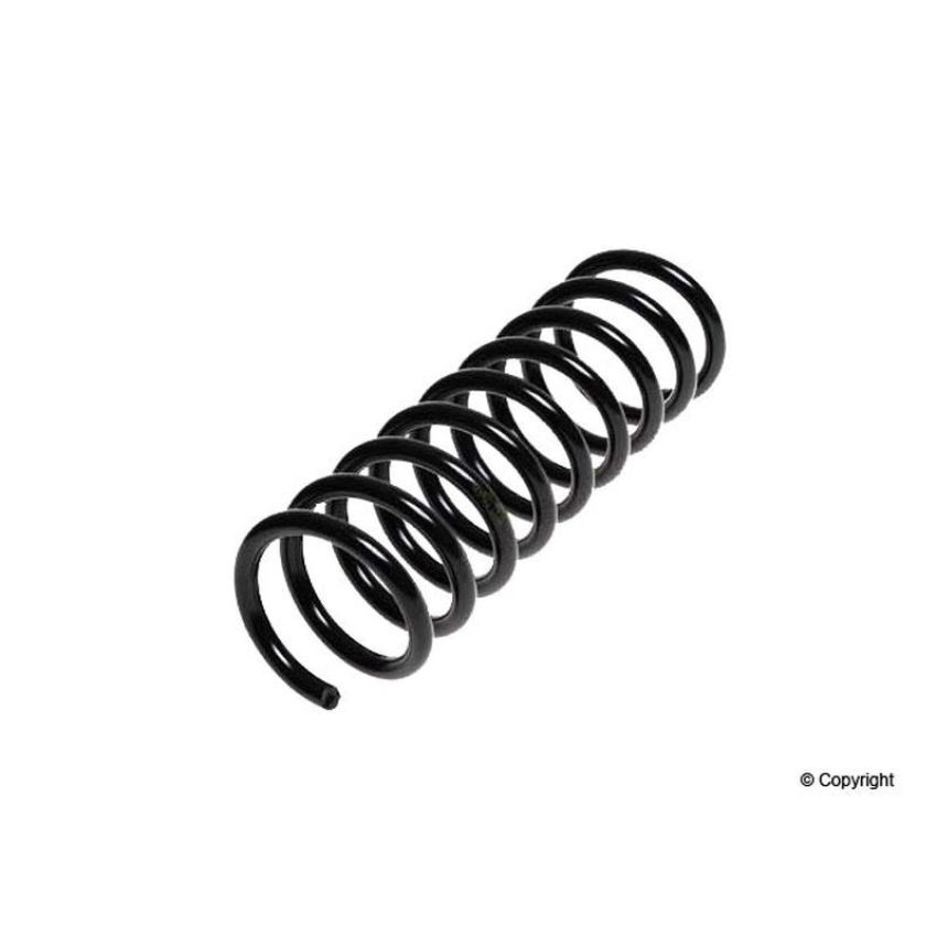 LESJOFORS 4295841 One Rear Coil Spring