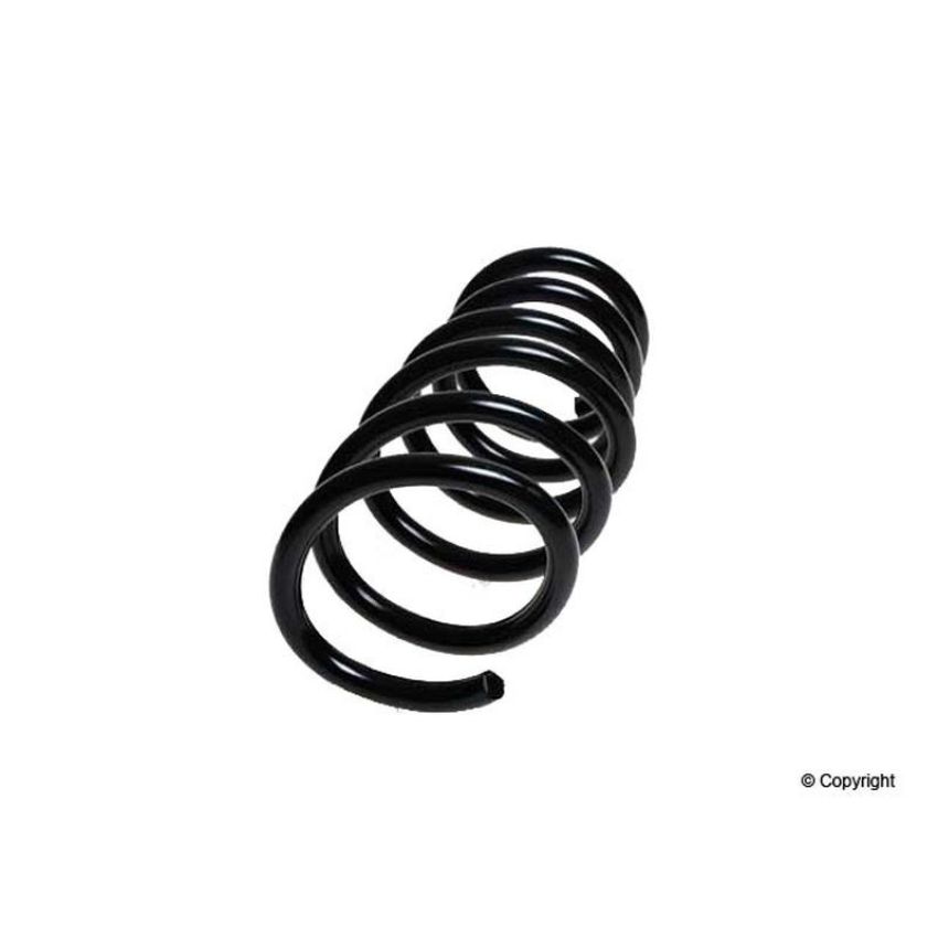 LESJOFORS 4295851 One Rear Coil Spring