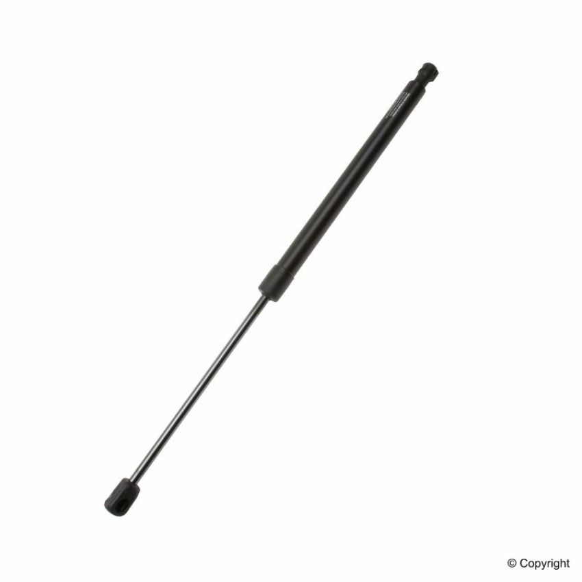 LESJOFORS 8195056 One Rear Lift Support
