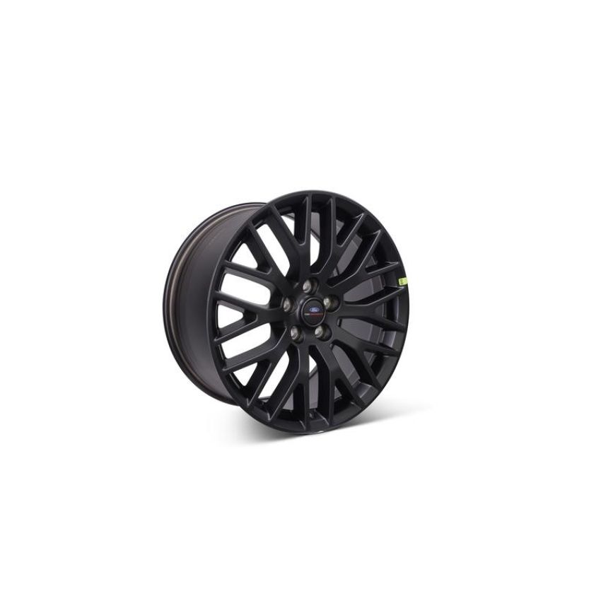 Ford Racing M-1007-M1995B 2015-2023 Mustang GT Performance Pack 19