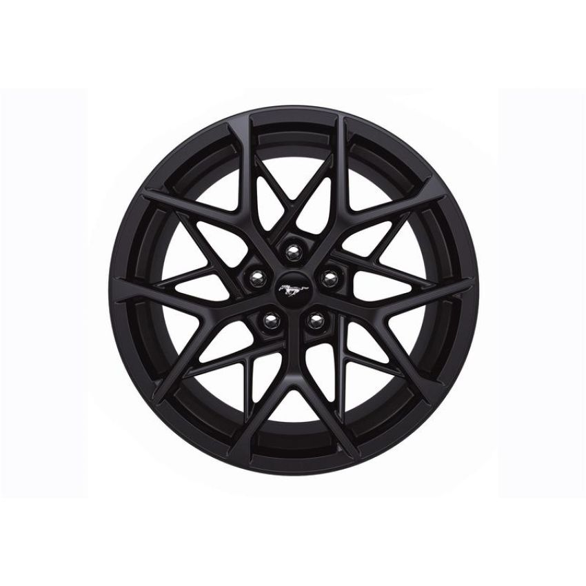 Ford Racing M-1007K-MACH1H 2015-2023 Mustang Mach 1 19