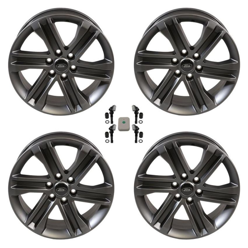 Ford Racing M-1007K-S2085F15 2015-2023 F-150 20