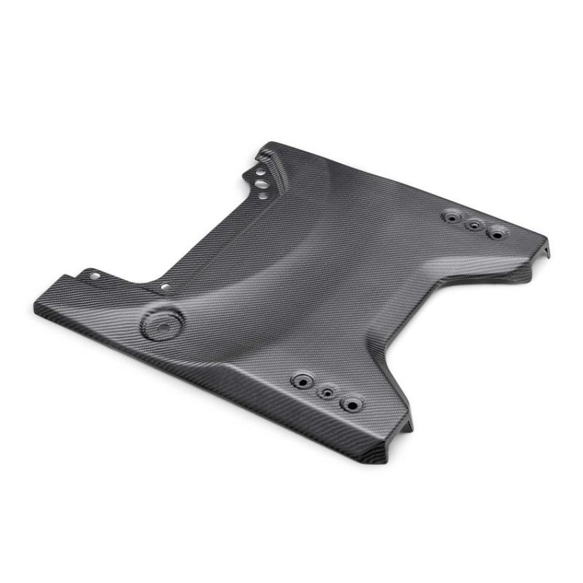 Ford Racing M-16600-BM 2022-2025 Bronco Raptor Carbon Fiber Tailgate Applique-Matte