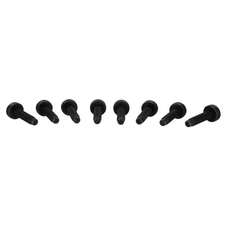 Ford Racing M-19008-BTDG 2021-2025 Tube Door Grab Handle