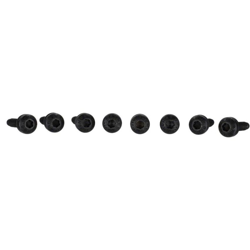 Ford Racing M-19008-BTDG 2021-2025 Tube Door Grab Handle