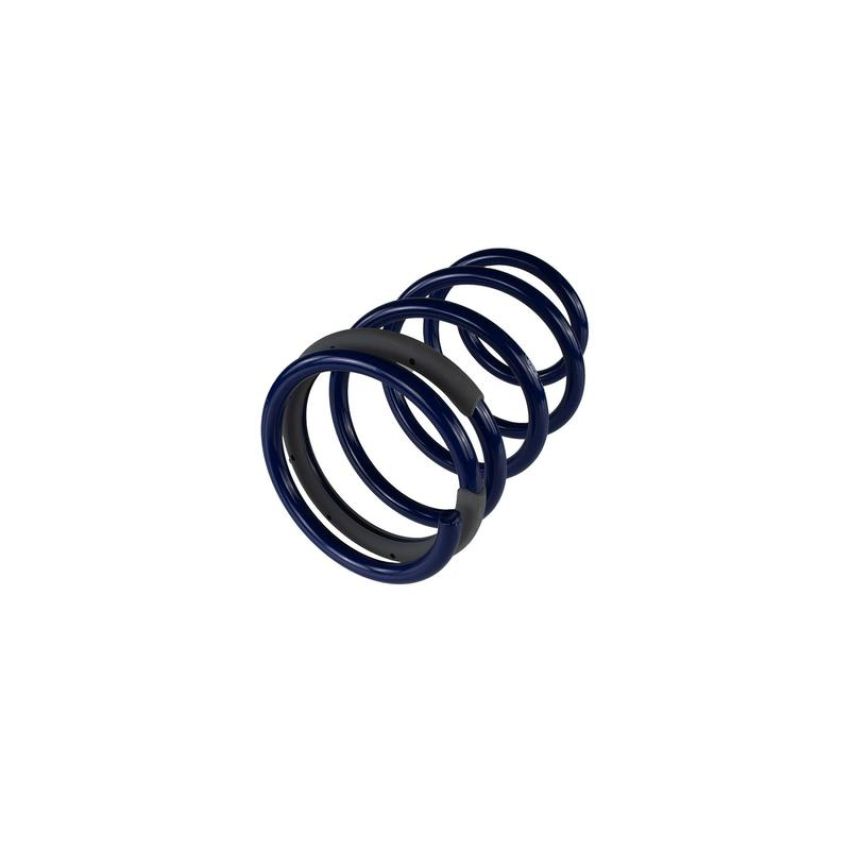 Ford Racing M-5300-KA 2005-2014 Mustang GT Street Lowering Springs