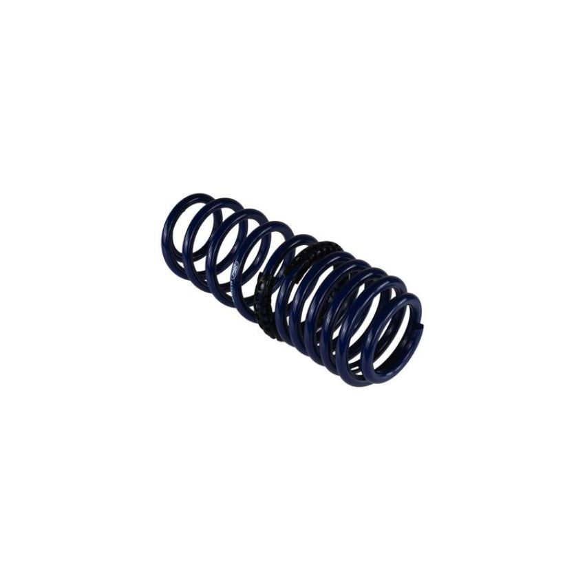 Ford Racing M-5300-KA 2005-2014 Mustang GT Street Lowering Springs