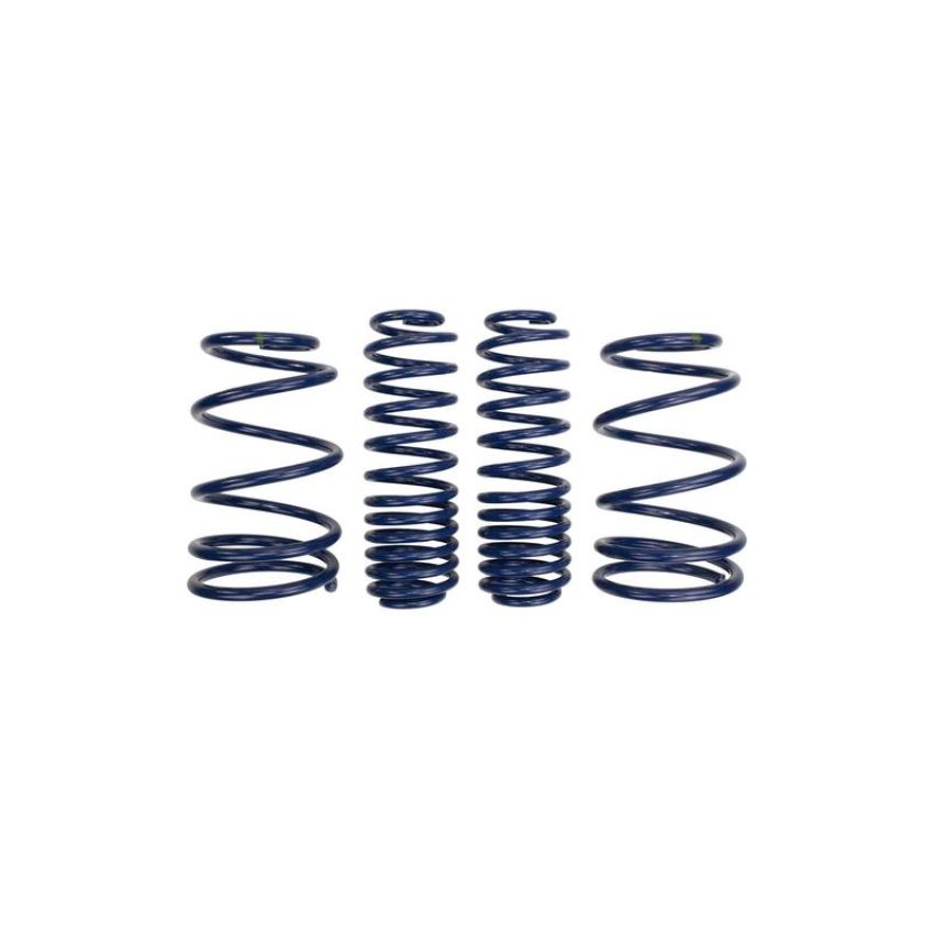 Ford Racing M-5300-L 2007-2014 Mustang Shelby GT500 Springs