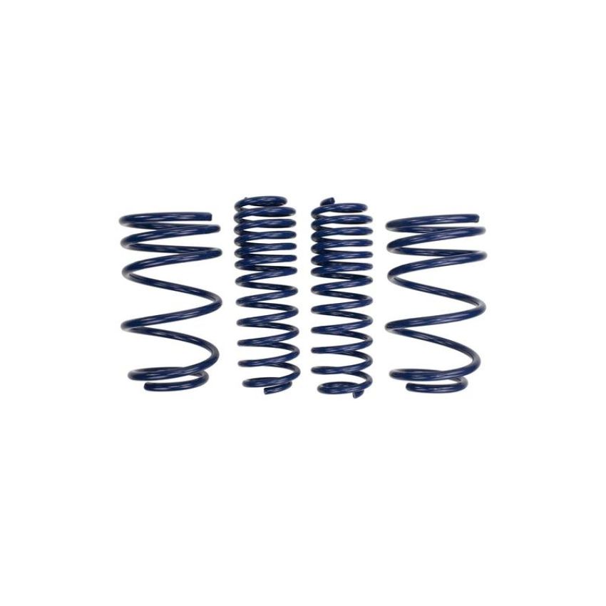 Ford Racing M-5300-L 2007-2014 Mustang Shelby GT500 Springs