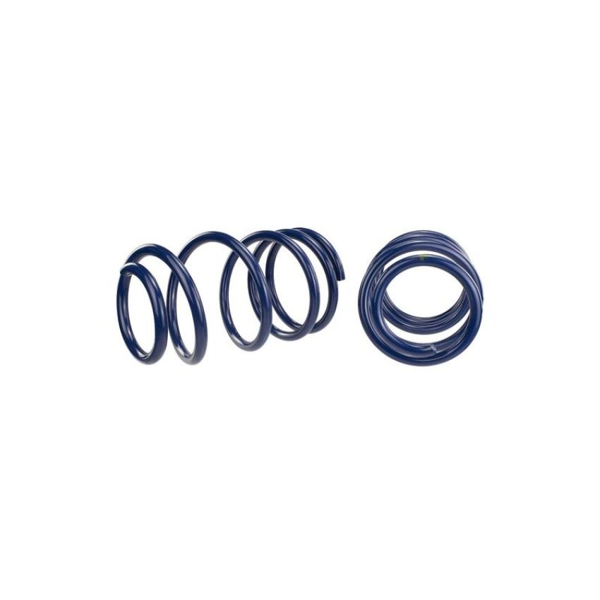 Ford Racing M-5300-L 2007-2014 Mustang Shelby GT500 Springs