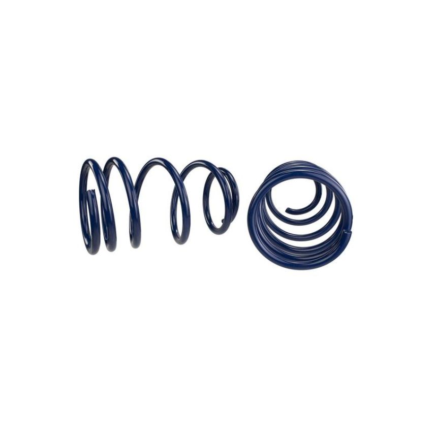 Ford Racing M-5300-L 2007-2014 Mustang Shelby GT500 Springs